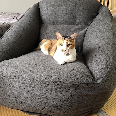 【御影クラッセ】空気でできたソファを組み立ててみた