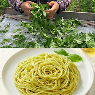 【無印良品御影クラッセ】兵庫県産のバジルペーストを使用した　あえるだけのパスタソース 新発売