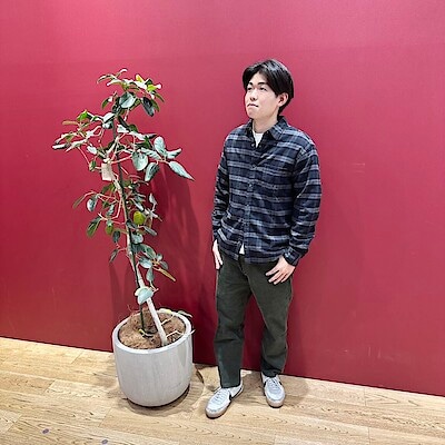 【アリオ鳳】身長175cm