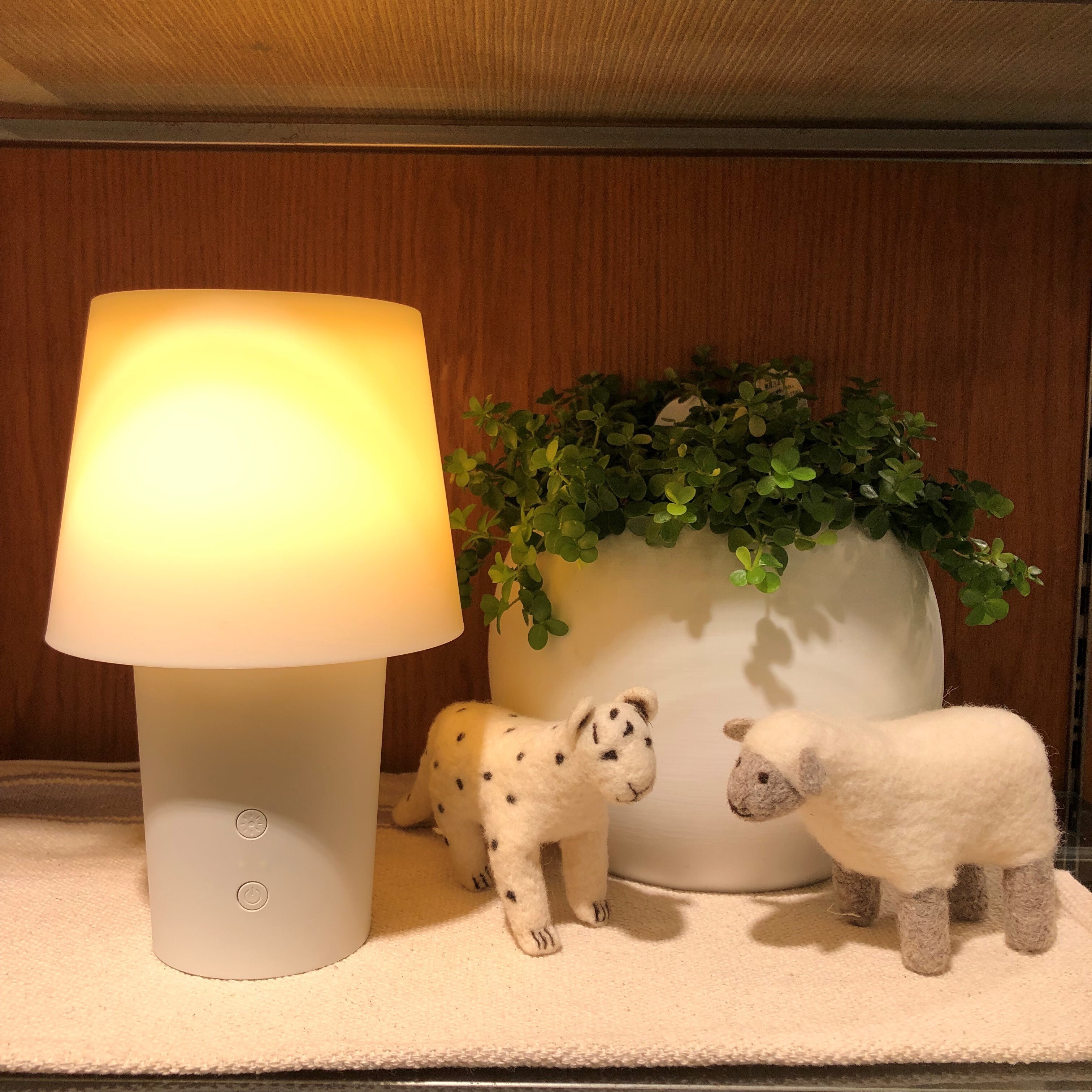 世田谷砧】新商品 『水を使わないアロマディフューザー』｜ 無印良品