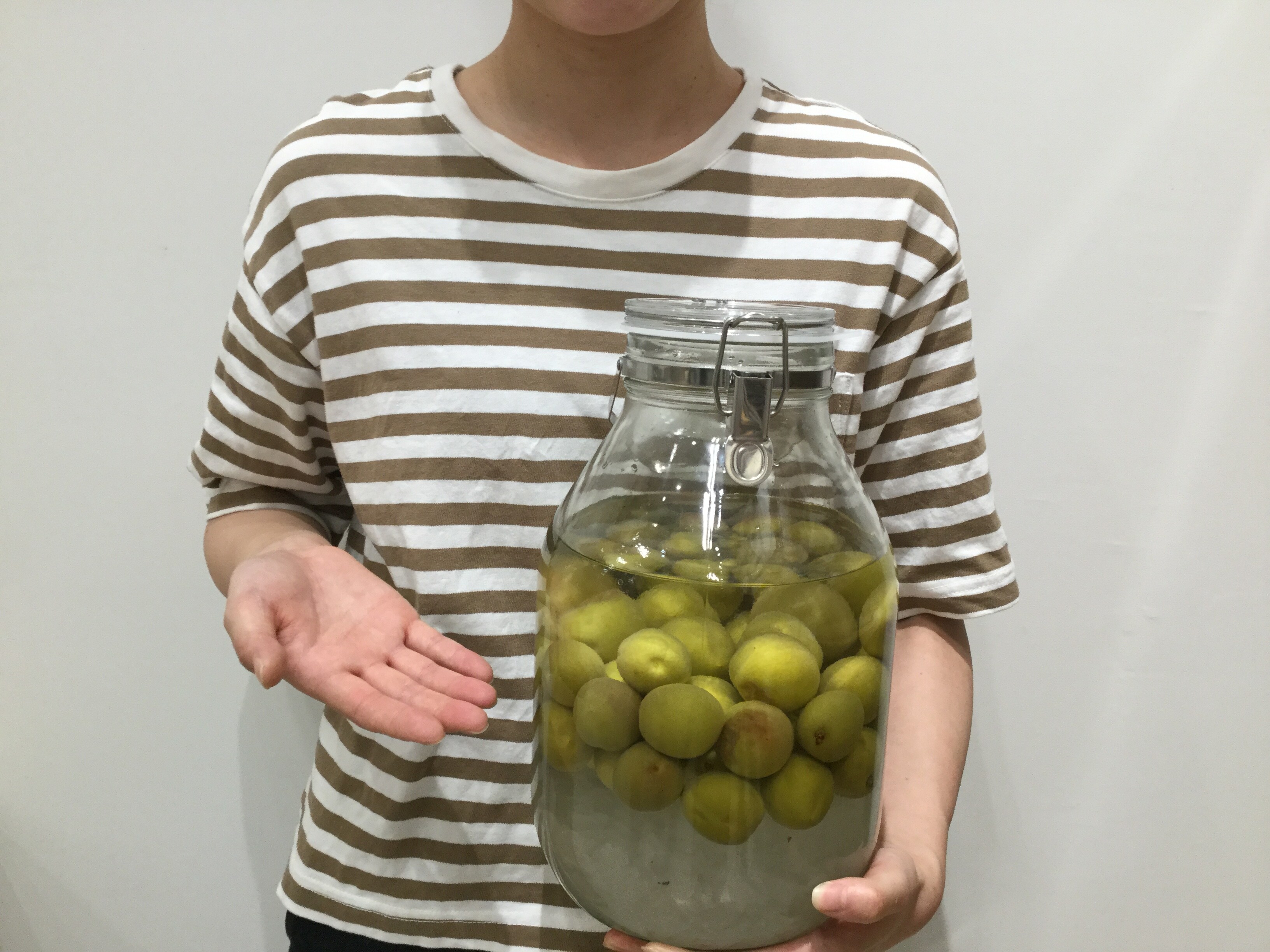 キービジュアル画像：果実酒を作ってみませんか｜商品紹介