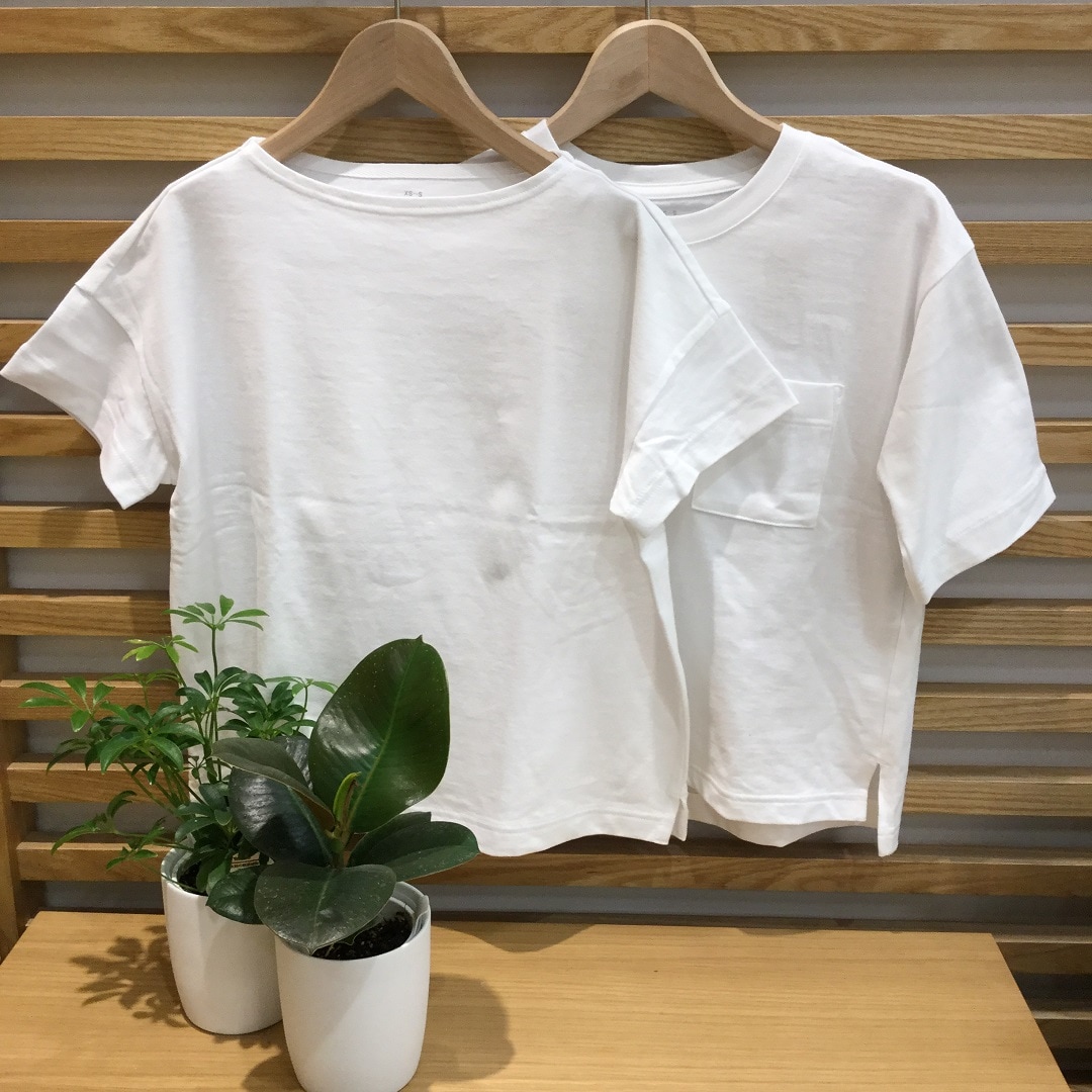キービジュアル画像：自分らしいＴシャツを探しませんか。～婦人Ｔシャツ編～｜スタッフのおすすめ