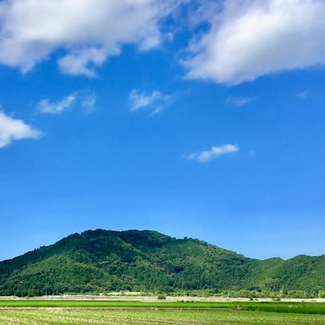 キービジュアル画像：荒神山｜まち歩き