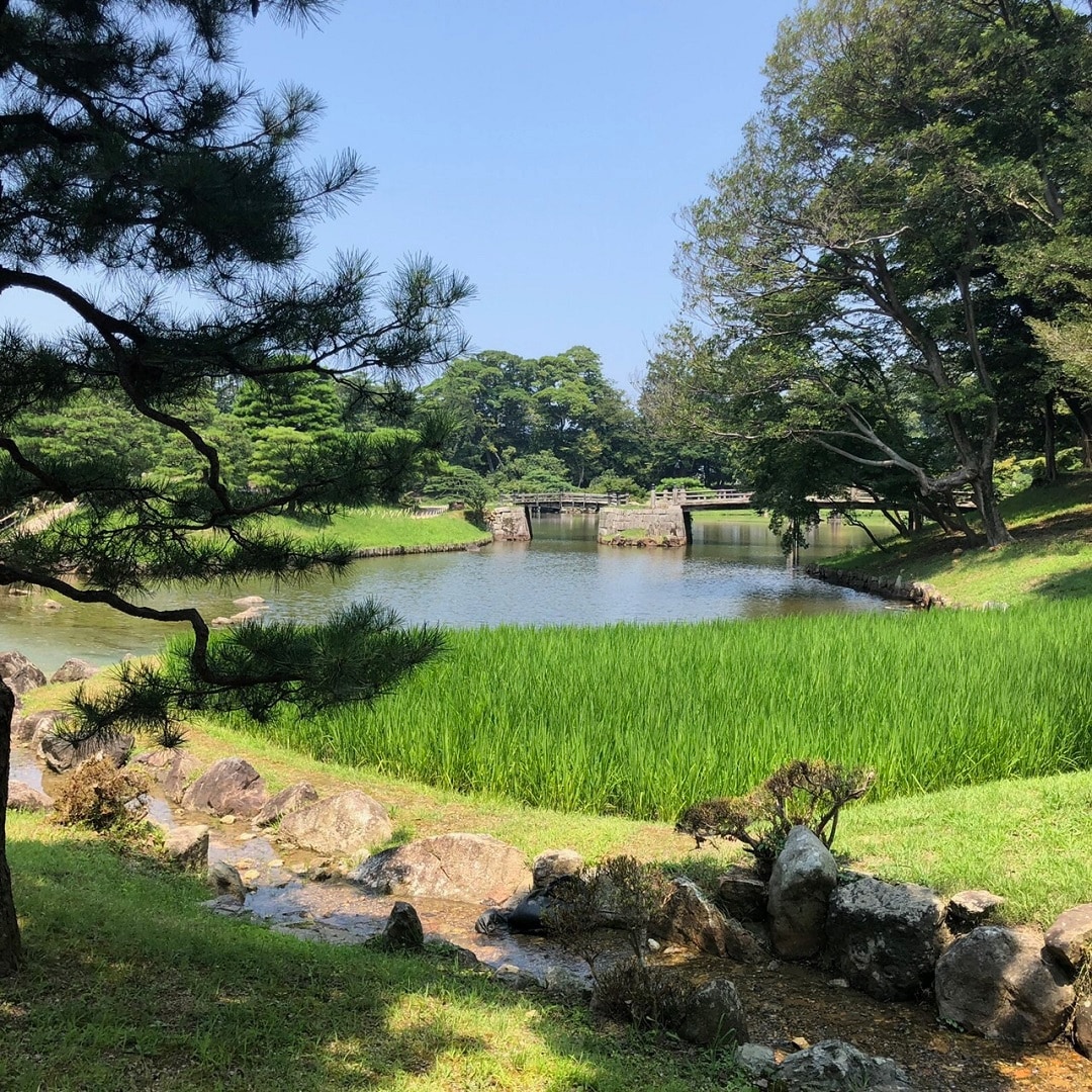 キービジュアル画像：彦根城へ隣接する玄宮園へまち歩き