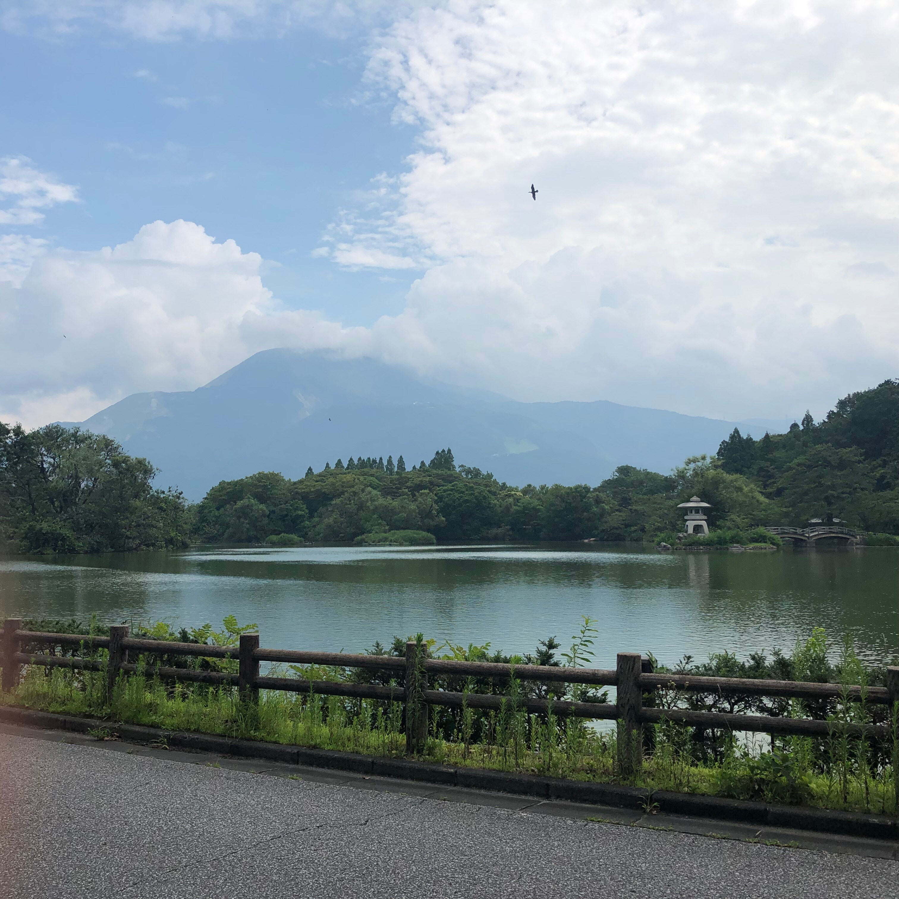 キービジュアル画像：三島池に行ってきました！｜まち歩き