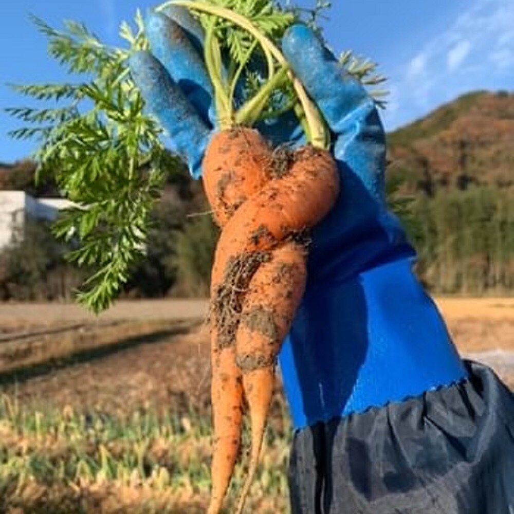 【ゆめタウン姫路】つながる市出店者紹介「中野ふぁ～む」