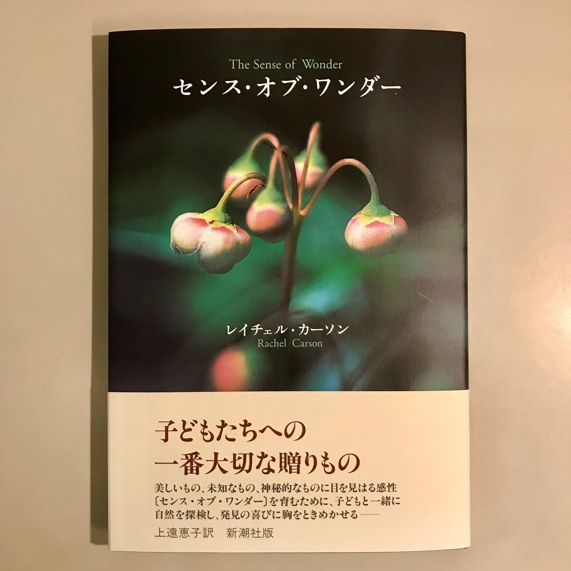 【アトレ恵比寿】MUJI BOOKS 書籍のご紹介『センス・オブ・ワンダー』