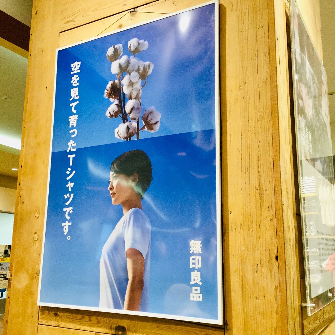 キービジュアル画像：オーガニックコットンを探せ！｜商品紹介