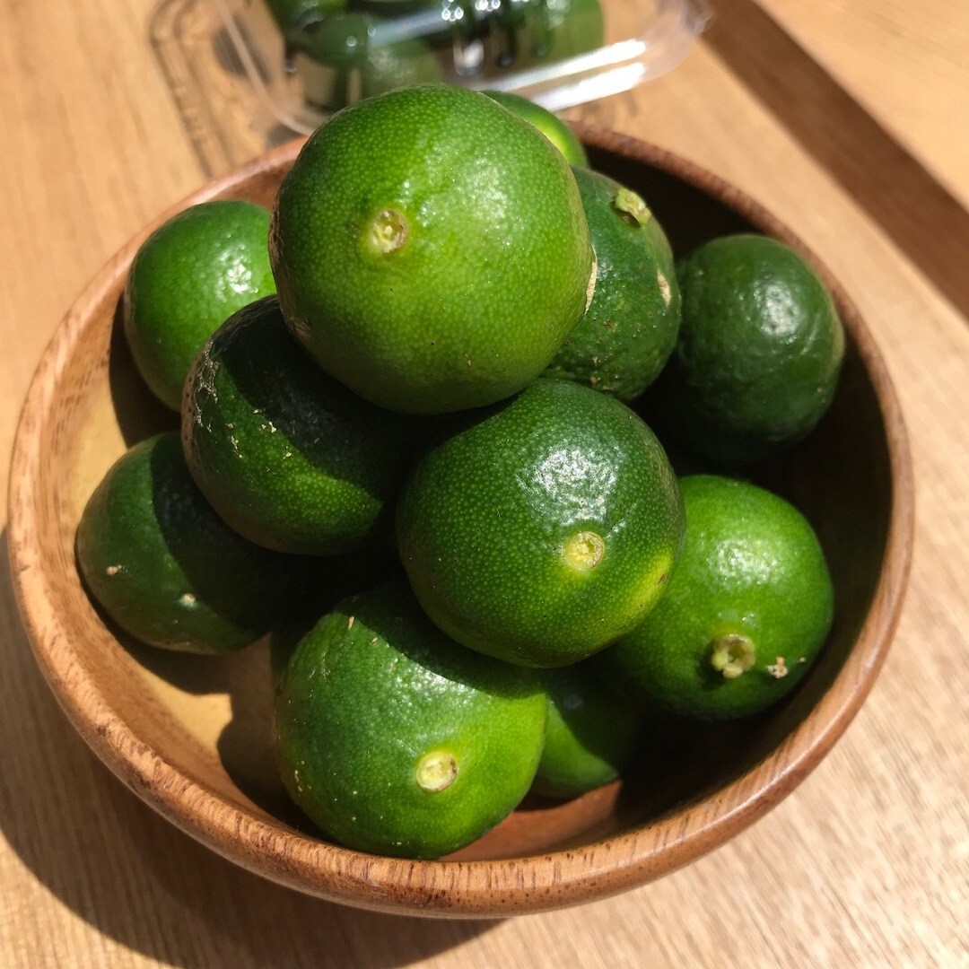 キービジュアル画像：【有楽町】沖縄産のシークヮーサーが入荷しました