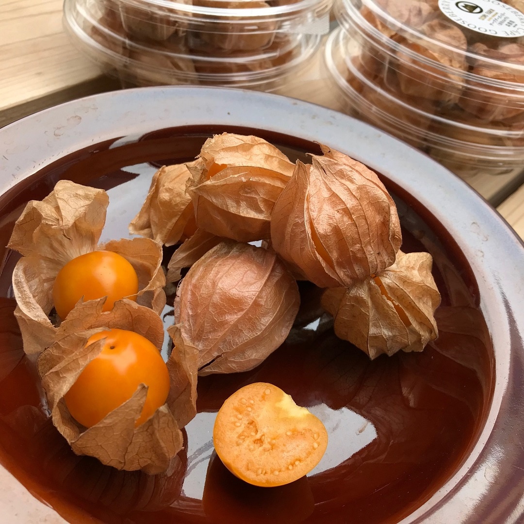 キービジュアル画像：【有楽町】群馬県産食用ほおずき（ケープグースベリー）が入荷しました