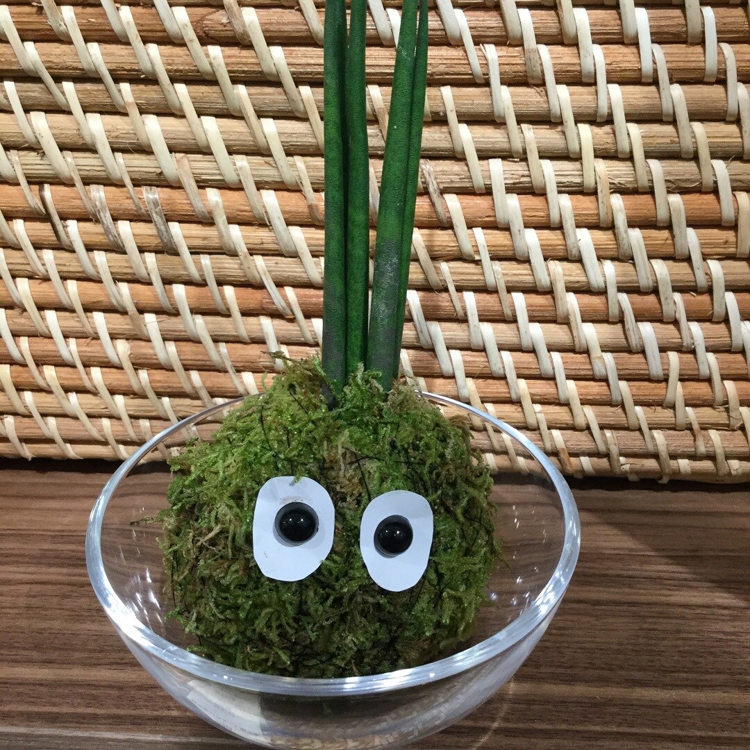 キービジュアル画像：こけだま、作りました｜イベントレポート