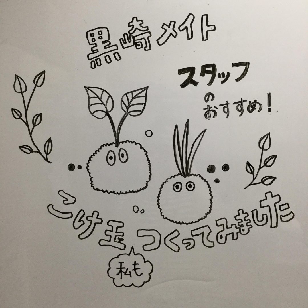 キービジュアル画像：こけ玉つくってみました｜スタッフのおすすめ