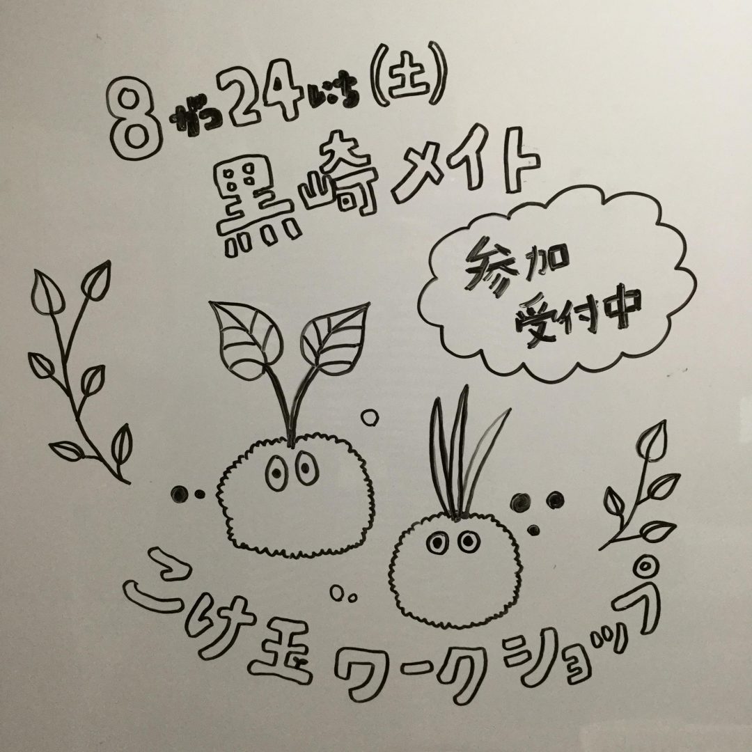 キービジュアル画像：こけ玉ワークショップやります