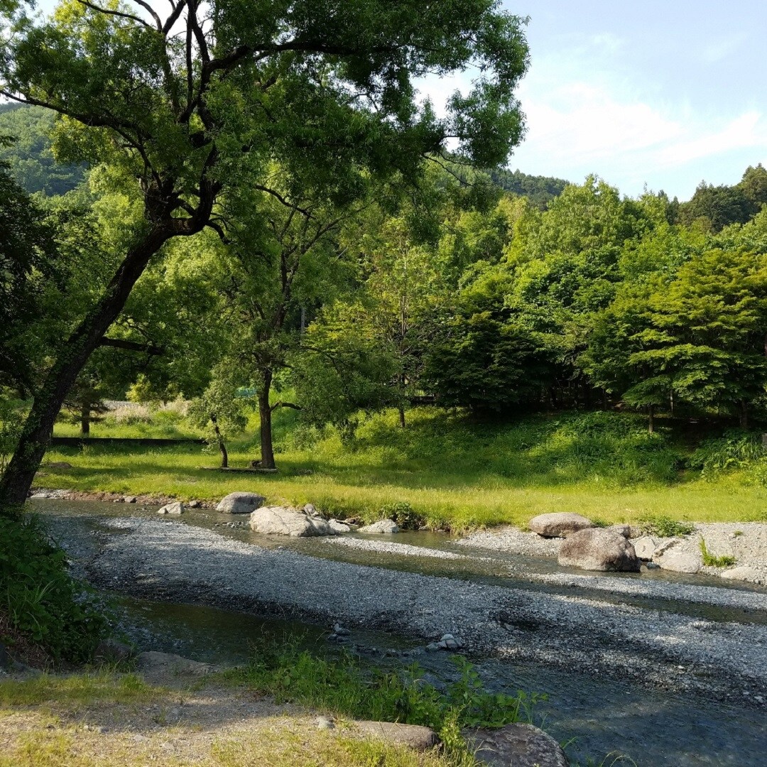 キービジュアル画像：秦野戸川公園であそぼう