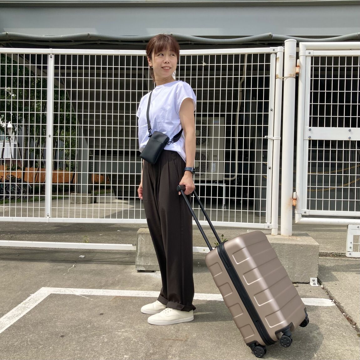 キャリー