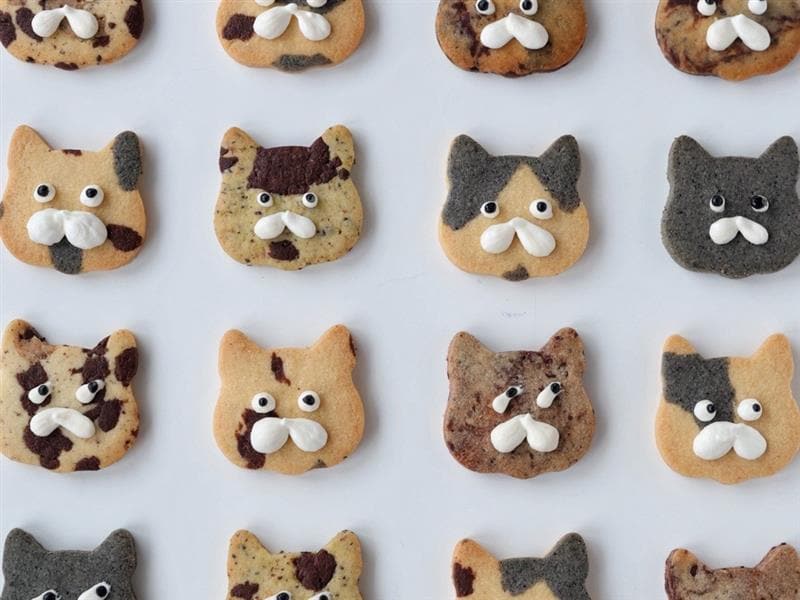 【シエスタハコダテ】STAND MARKET「anbeloppe hakodate cookies」開催します