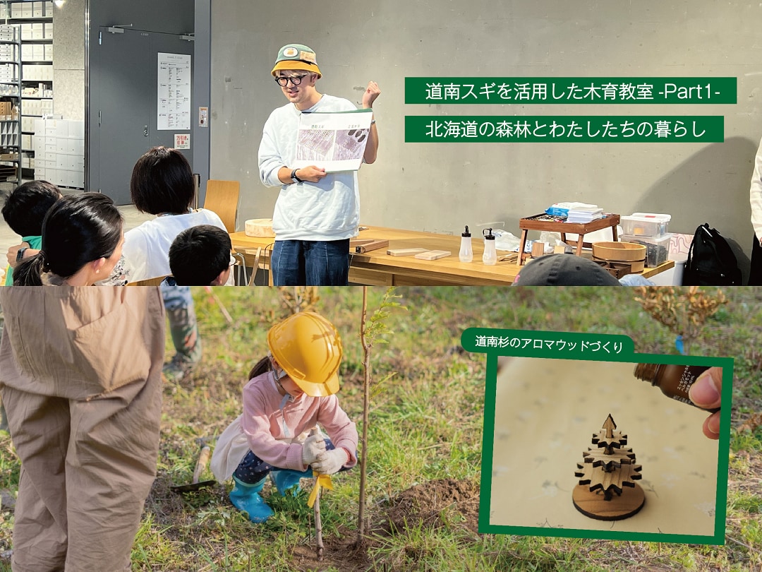 【シエスタハコダテ】道南スギを活用した木育教室-Part1- 北海道の森林とわたしたちの暮らし