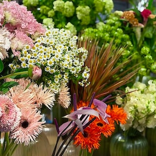 【シエスタハコダテ】Life with Flowers