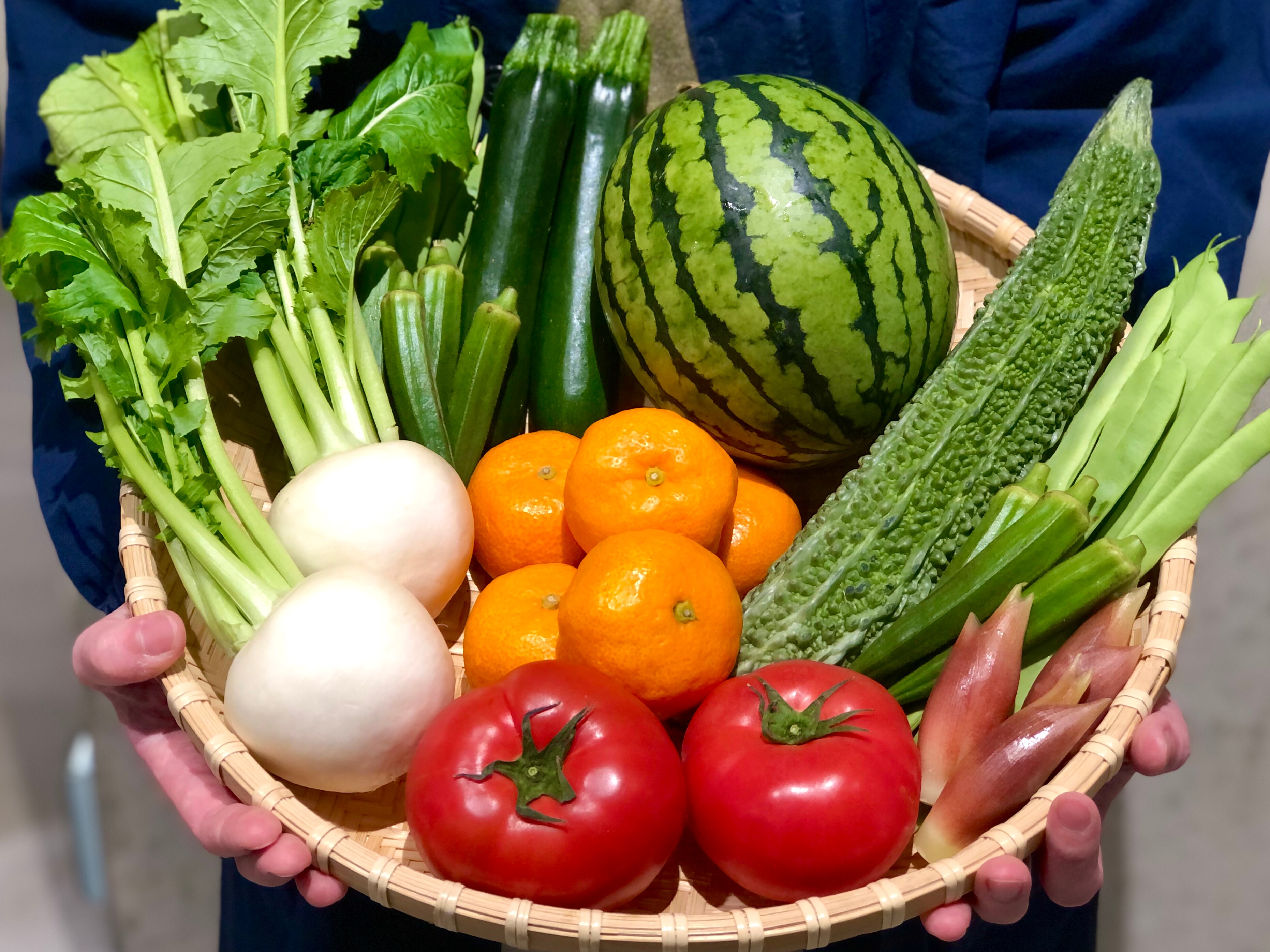 【シエスタハコダテ】5月8日は『野菜の日』｜ベジ旨だより