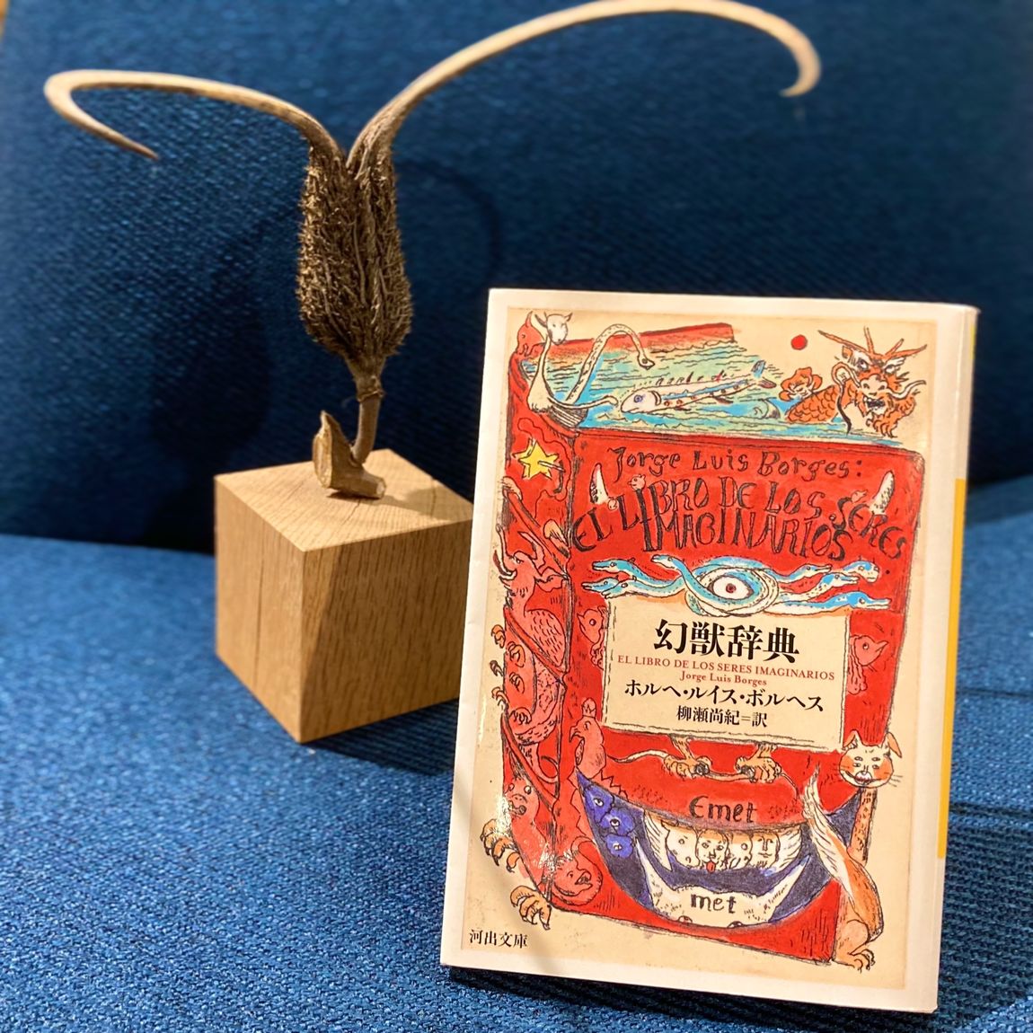 【シエスタハコダテ】映画もいいけどたまには読書もいかがでしょう。
