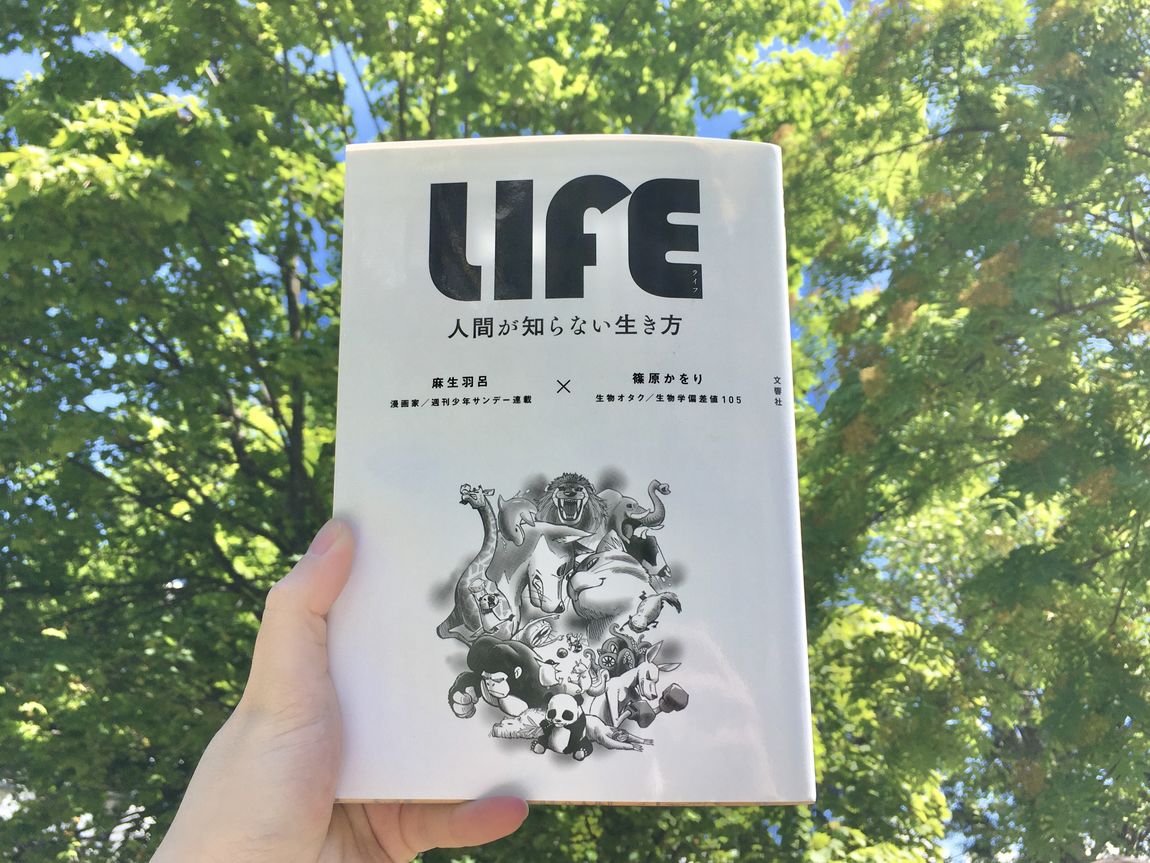 シエスタハコダテ Life 人間が知らない生き方 無印良品