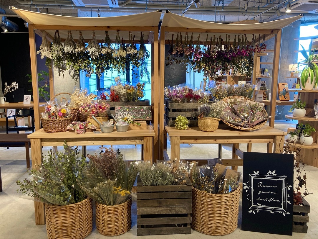 【シエスタハコダテ】ドライフラワーの販売はじめました