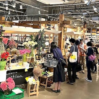 【シエスタハコダテ】「第74回函館つながる市」1日目の出店者さまを紹介します