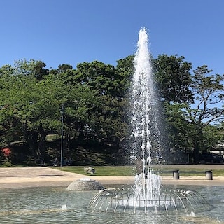 【シエスタハコダテ】「第76回函館つながる市」2日目の出店者さまを紹介します