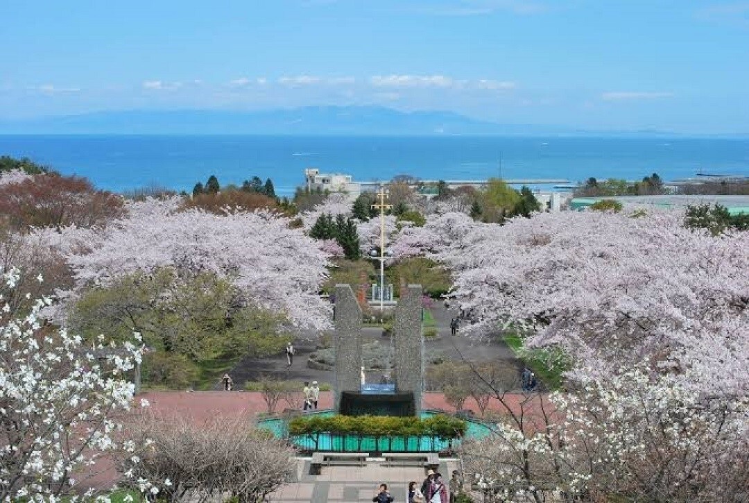 【シエスタハコダテ】森町つながる市、開催します