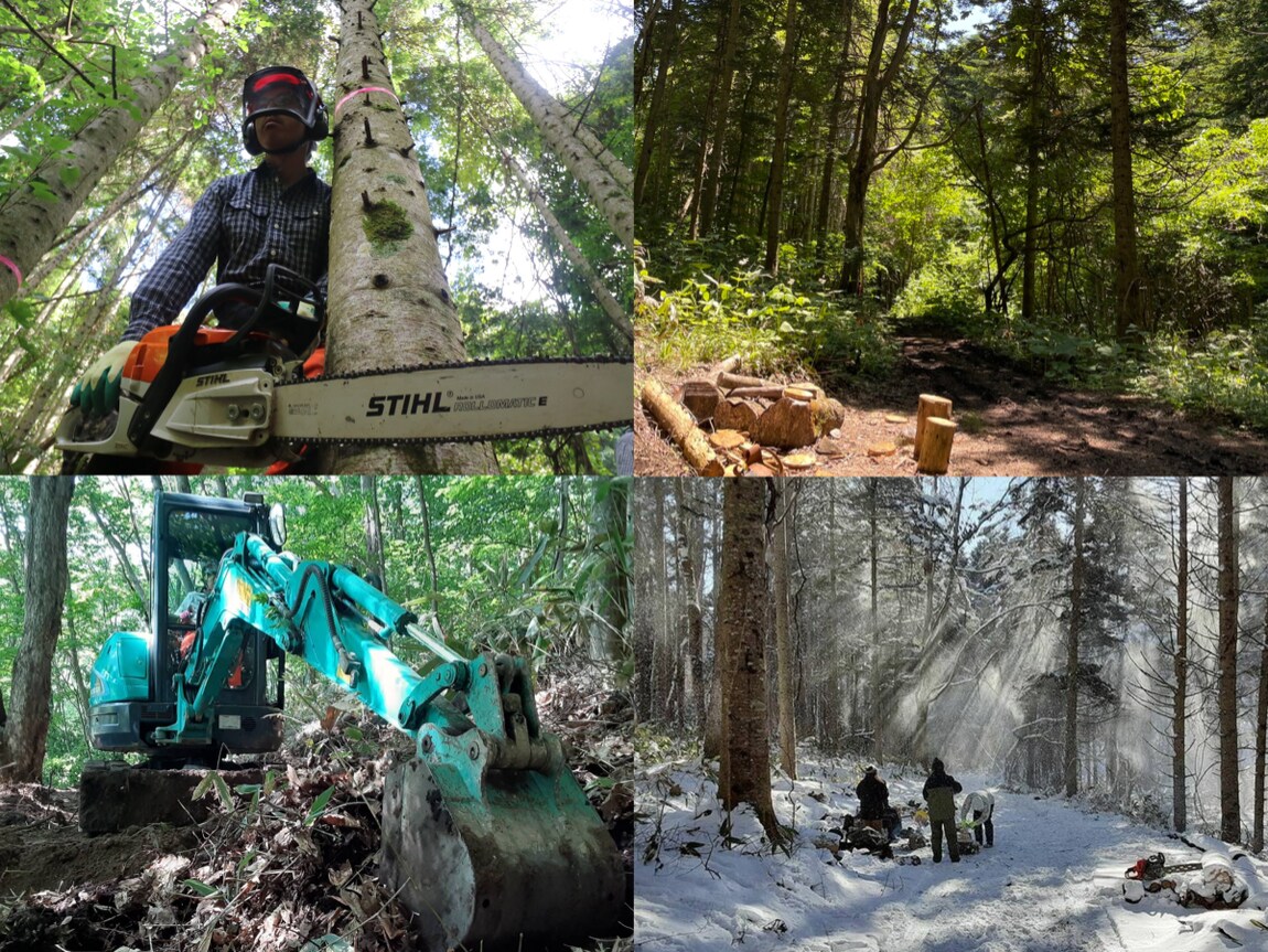 【シエスタハコダテ】道南森づくりの会写真展 『森で学び、森を活かす』　を開催します。