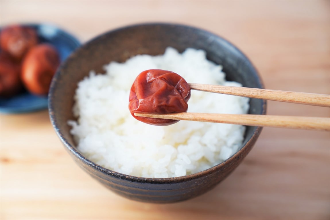 【シエスタハコダテ】「うめまつり」開催します