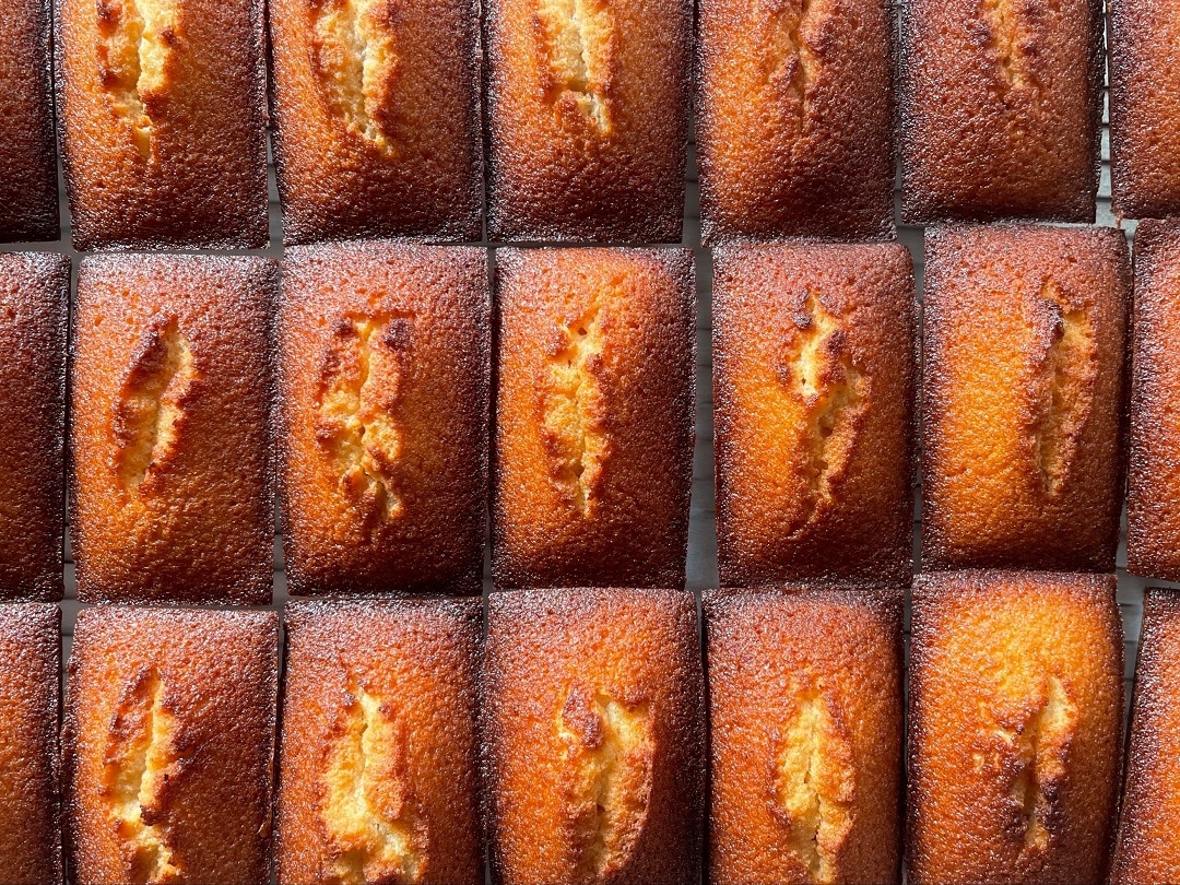 【シエスタハコダテ】CHRISTMAS STAND MARKET「yamanakashi」開催します