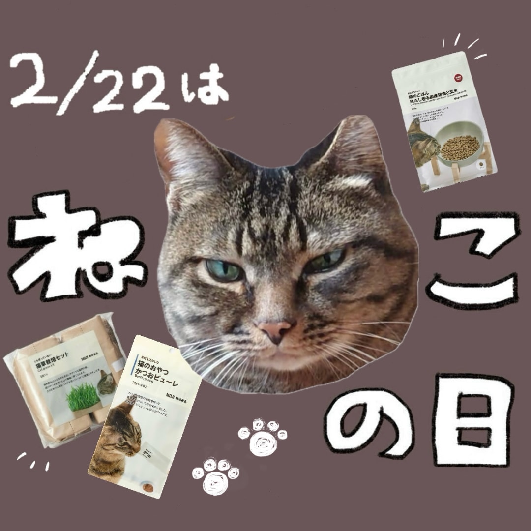 【アピタ阿久比】　２月２２日は猫の日！