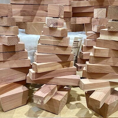 【ららぽーと新三郷】レッドシダーツリー