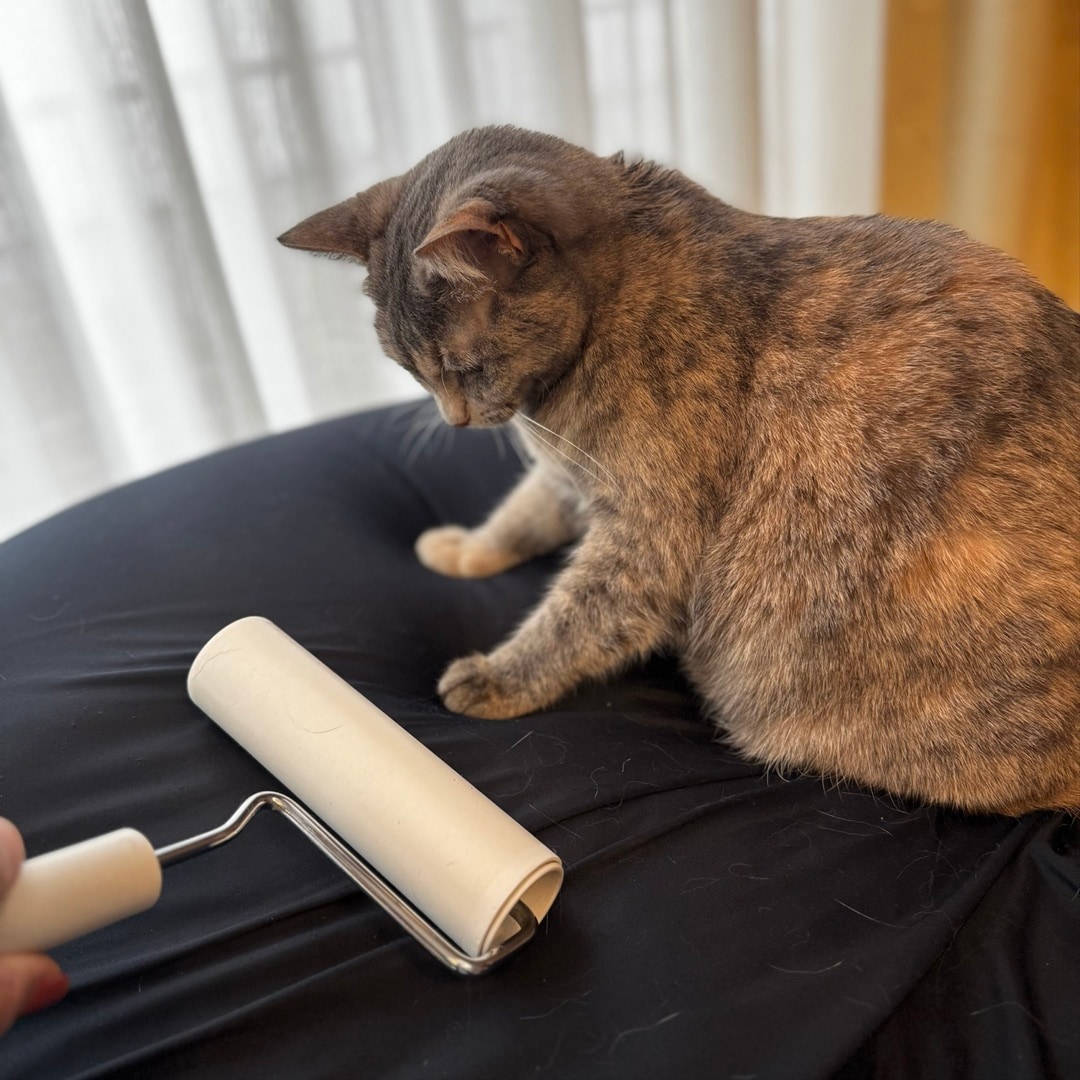 【ゆめシティ新下関】ストック買い