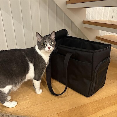 【西友荻窪】大切な家族とのおでかけに  キャリーバッグのご紹介　
