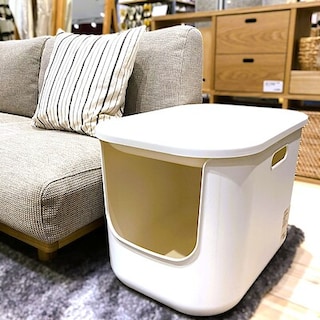 【イオンモール松本】猫の日に、リビングになじむ猫用トイレ