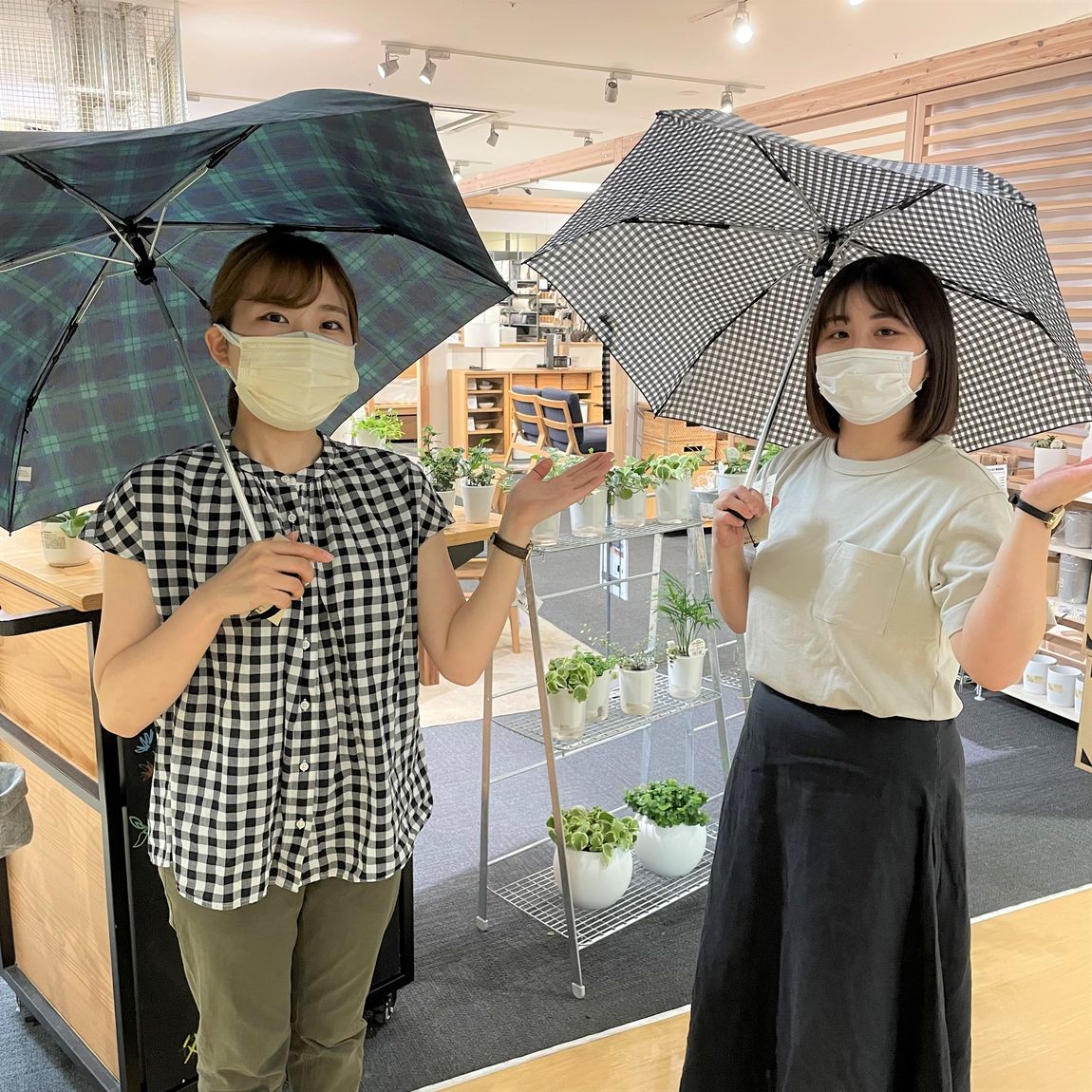 傘の紹介