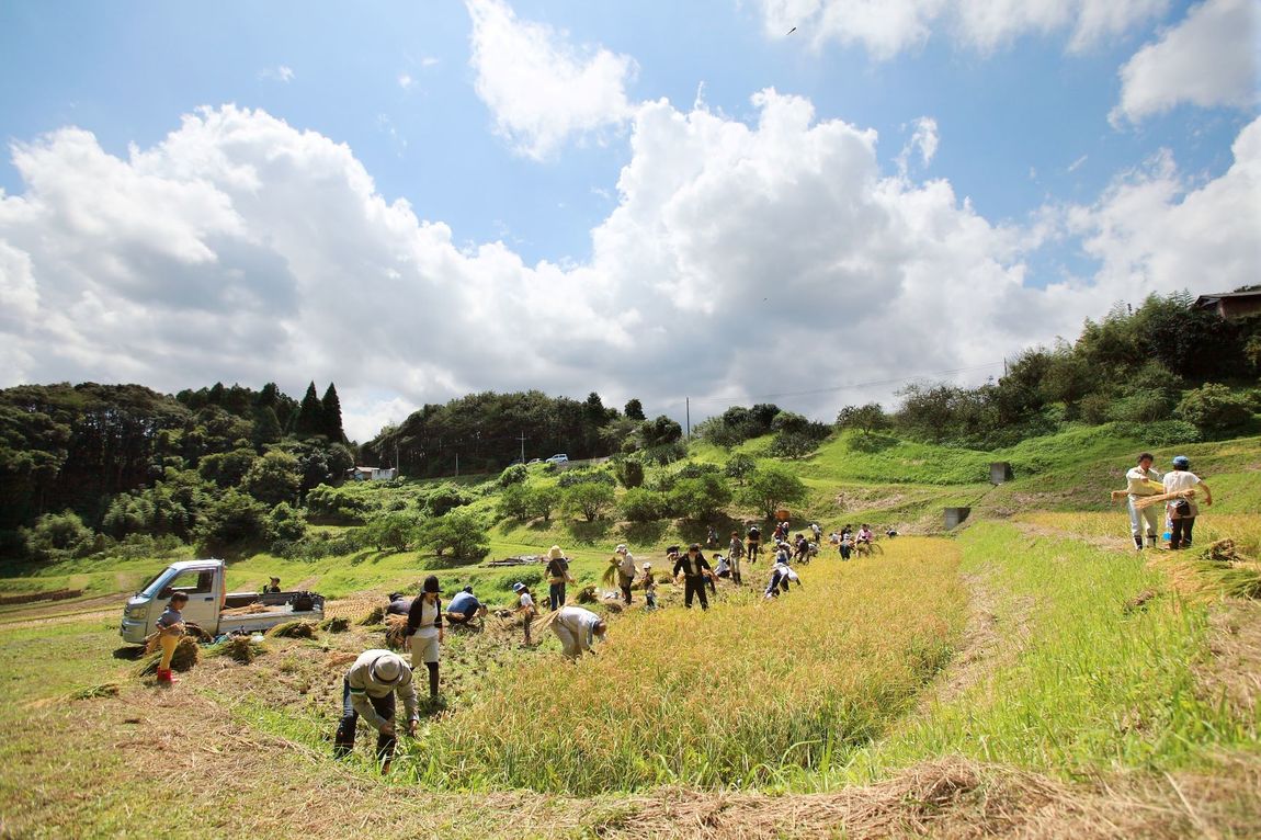 【イオンモール木更津】無印良品鴨川里山トラスト 有機米 田の稲刈り   ~2022年~
