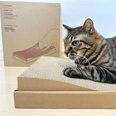 【イオンモール各務原】爪とぎベッドなどペット商品が新発売しました