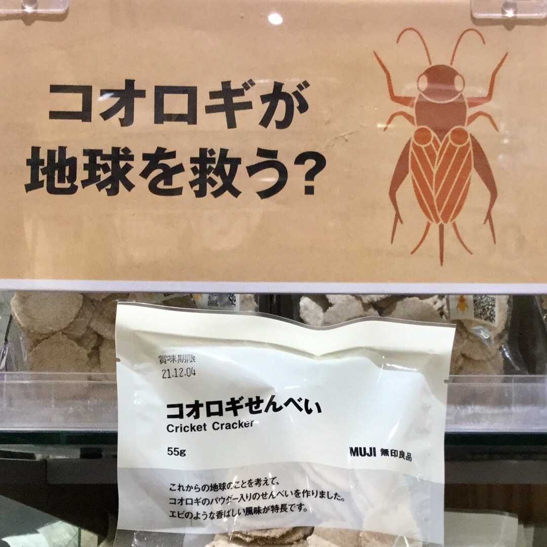 【イオンモール各務原】コオロギせんべい 入荷しました 