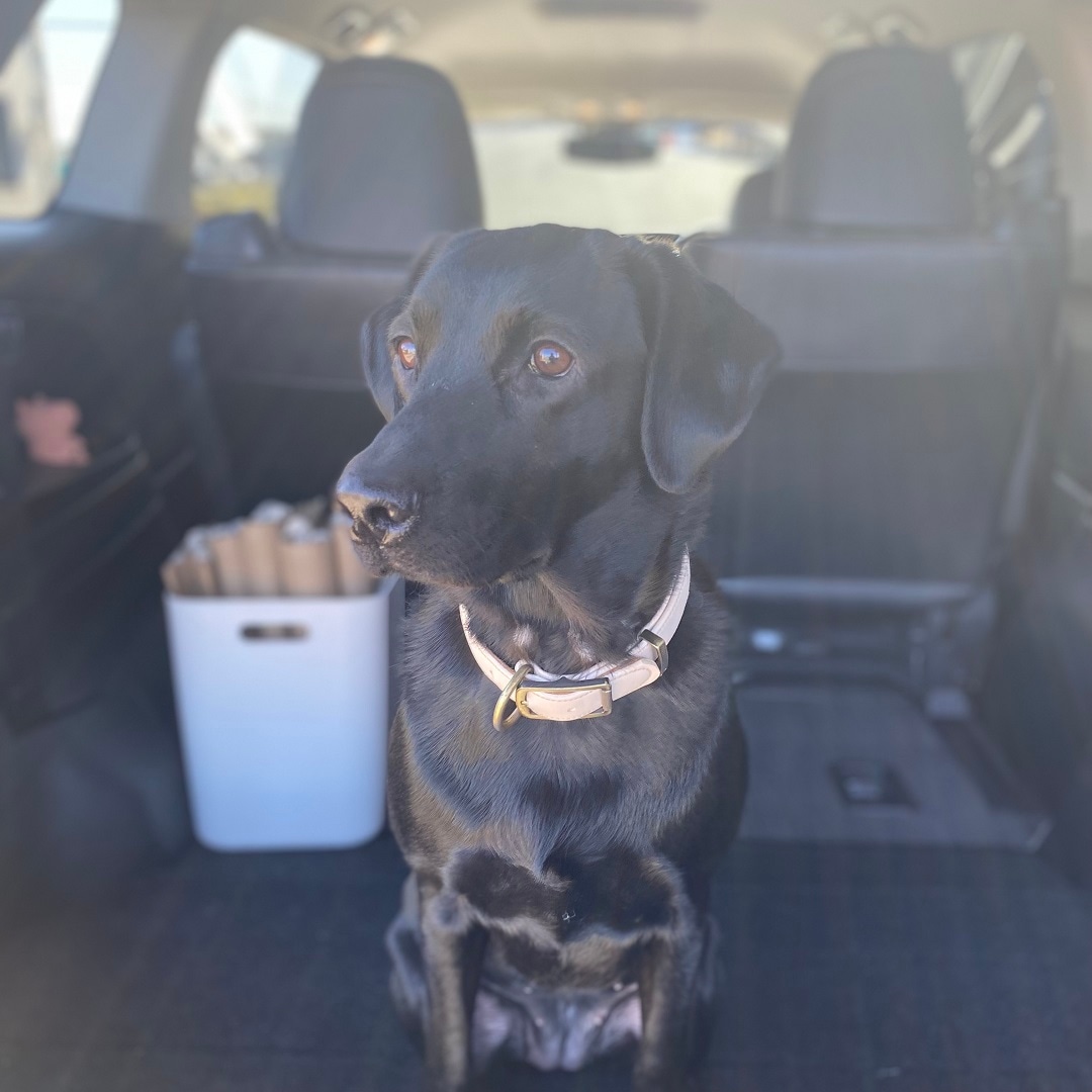 トイレットペーパーホルダー インテリア雑貨ティッシュケース