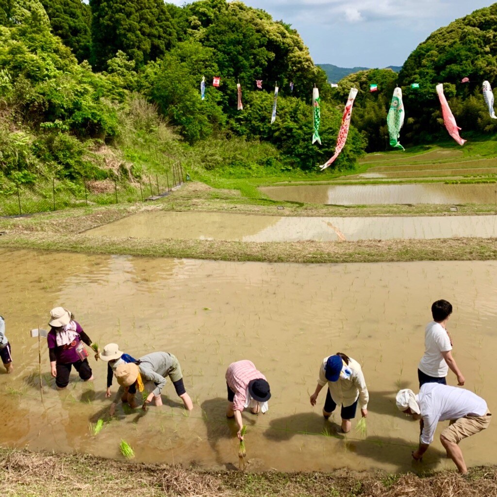 キービジュアル画像：鴨川里山トラスト2019「田植え」│イベントレポート