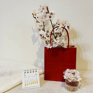 【無印良品ゆめタウン行橋】　「無印良品週間」まもなく終了です　　　　　　　　　　　