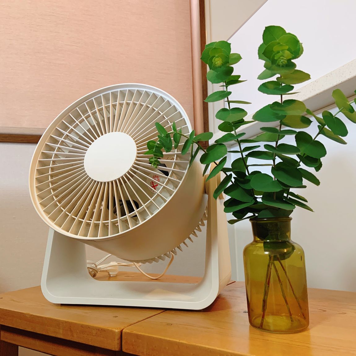 暑さを吹き飛ばせ
