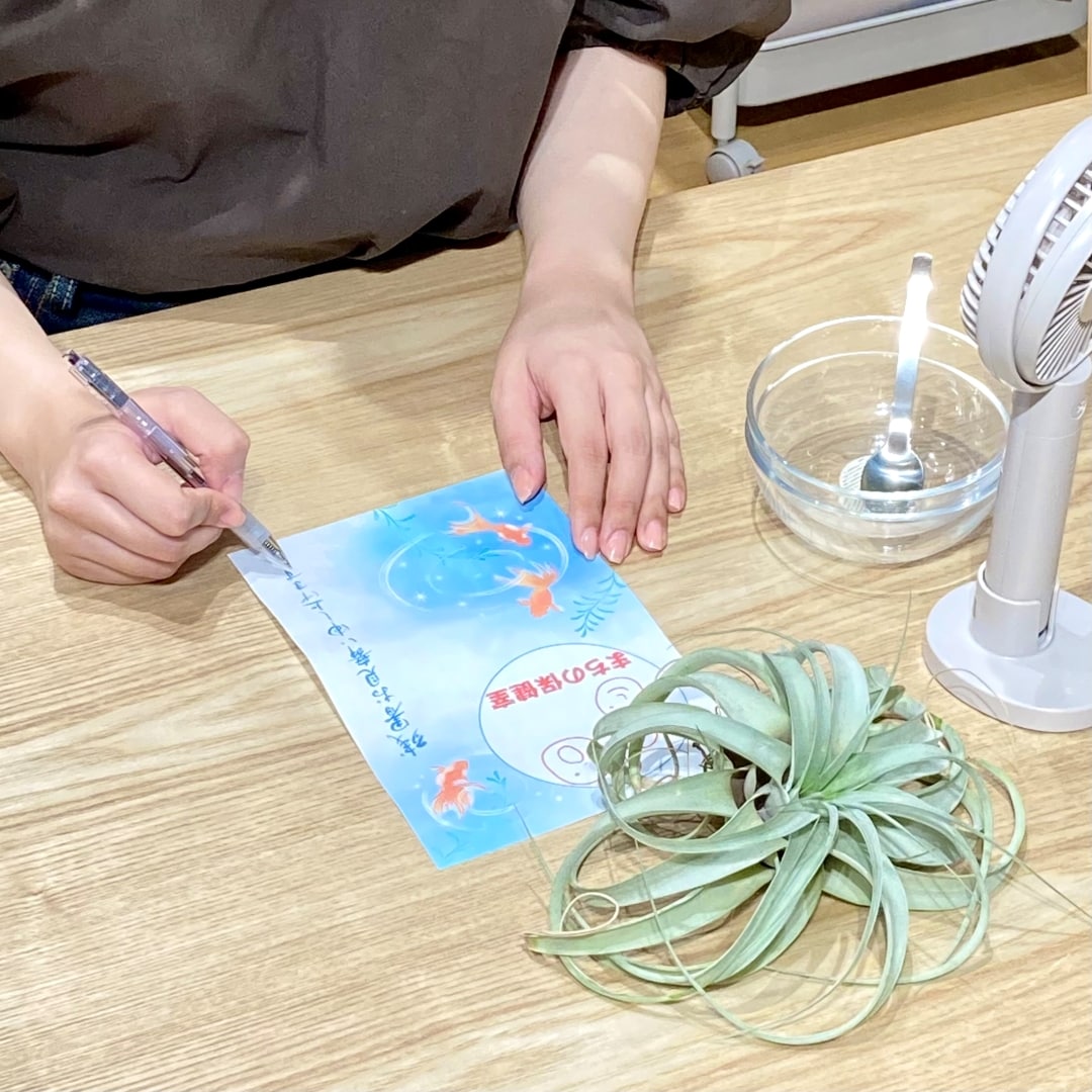 立秋　TOP画