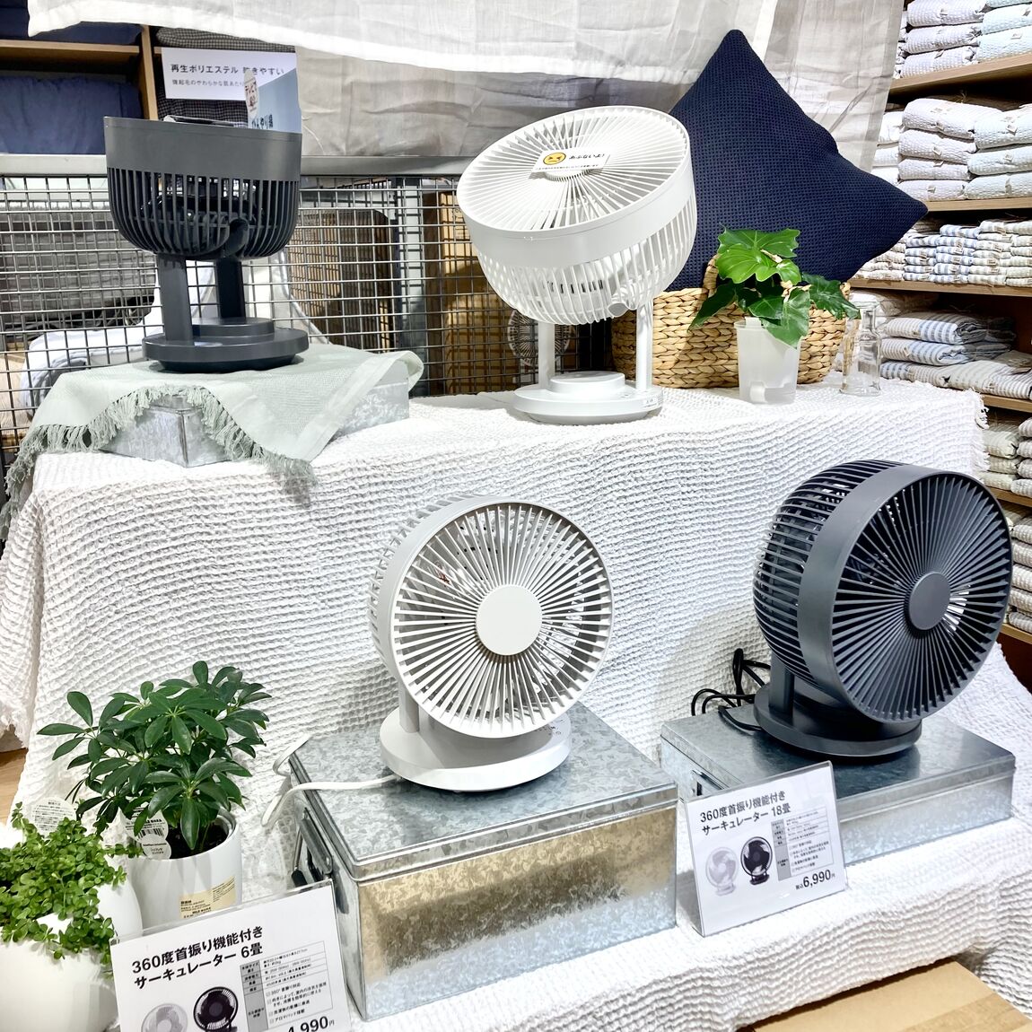 ファン