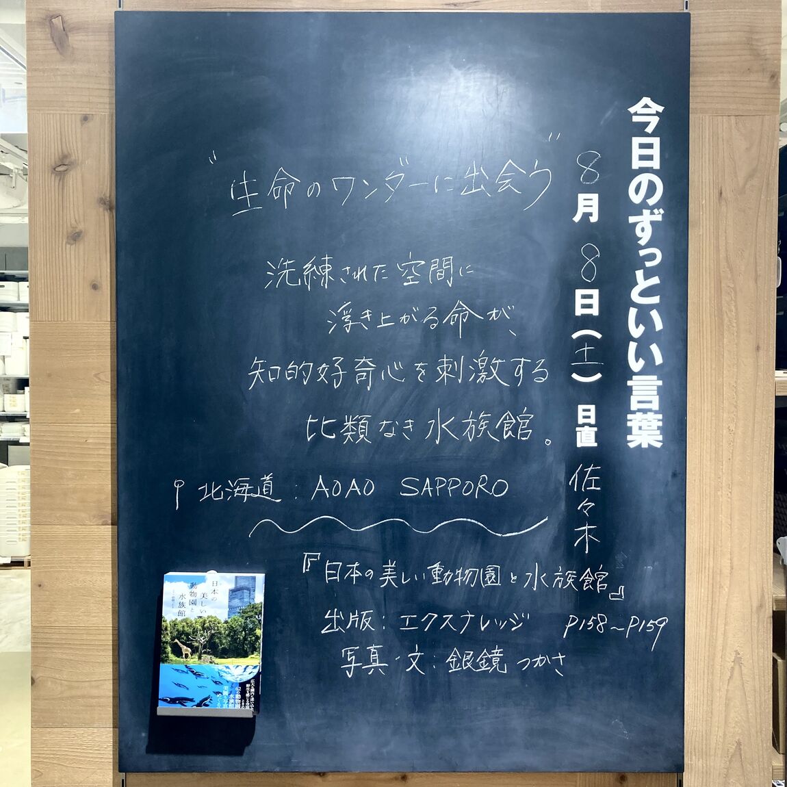 メイン