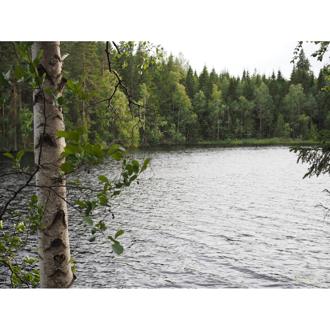 キービジュアル画像：森と湖の国 フィンランドの旅 ～前編～