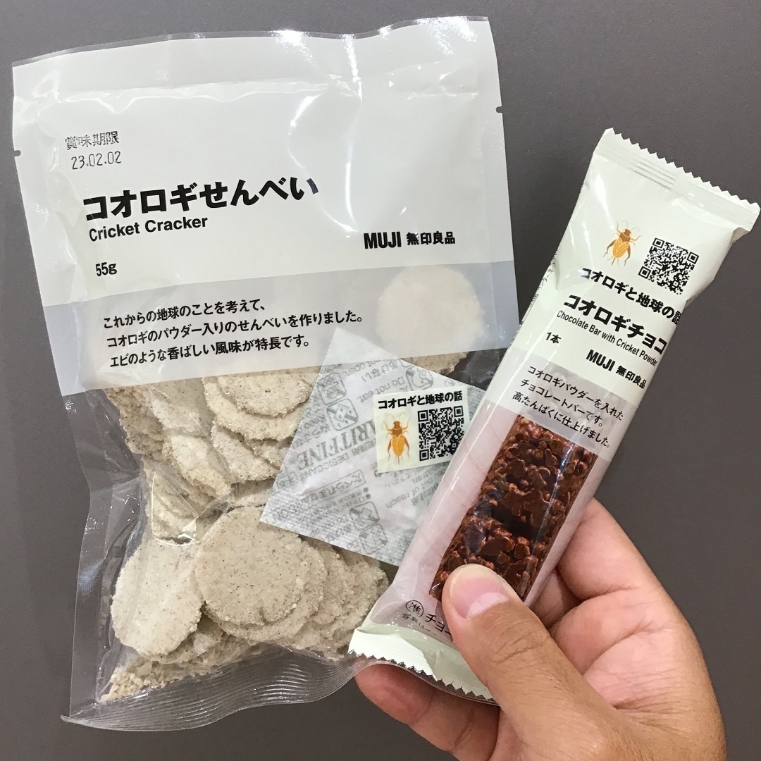 コオロギ
